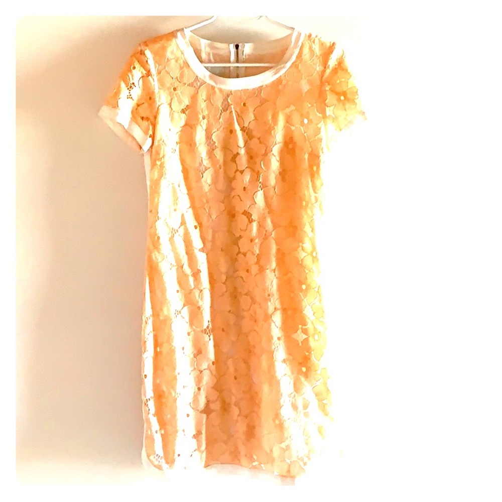 Shift Dress